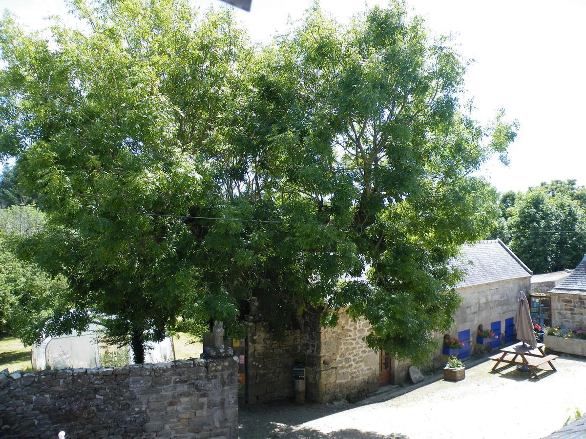 La Ferme Du Bout Du Monde Bed & Breakfast Plogoff Luaran gambar
