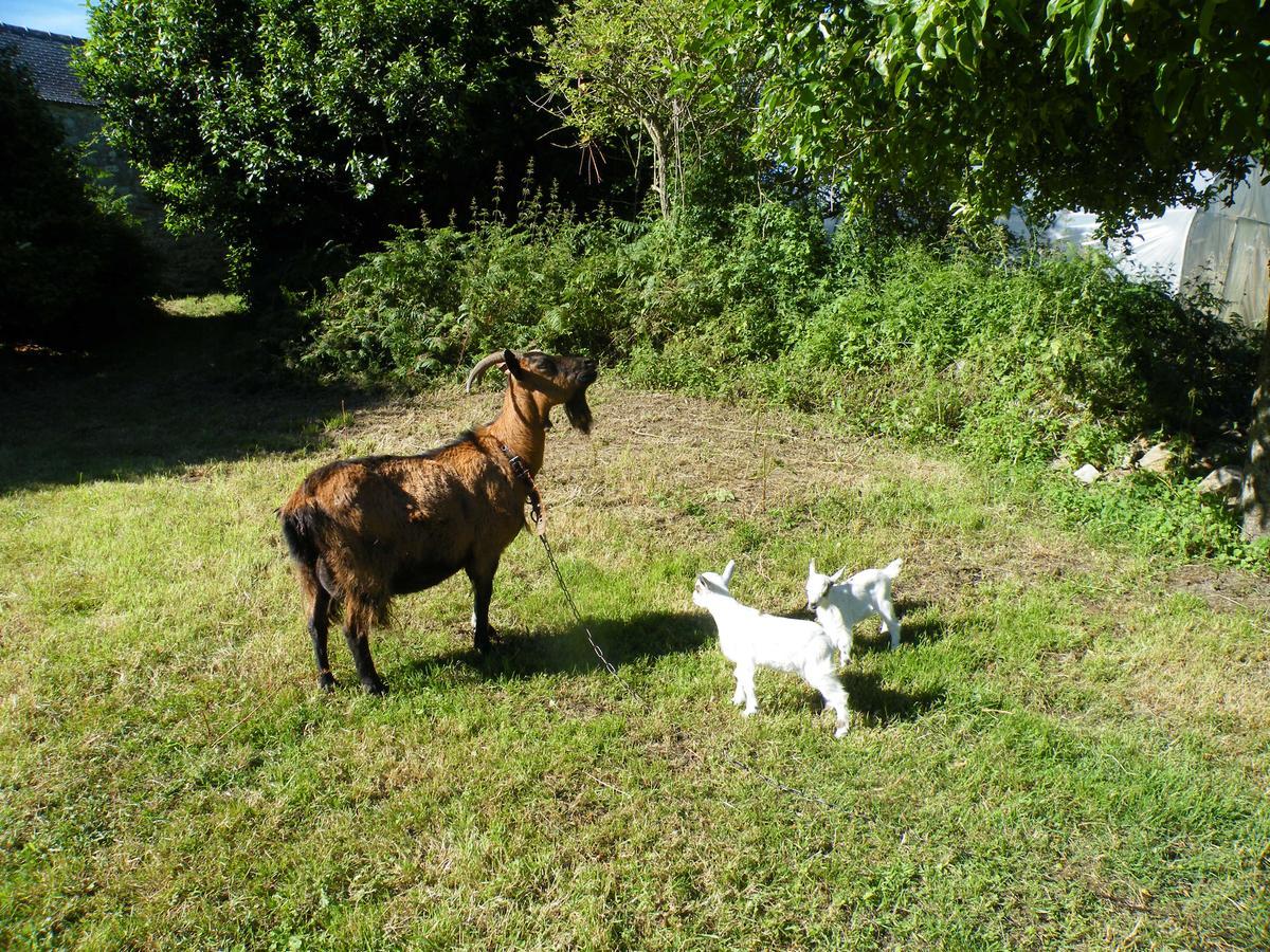 La Ferme Du Bout Du Monde Bed & Breakfast Plogoff Luaran gambar